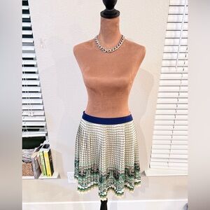 Beautiful Zara pleated skirt with the prettiest print